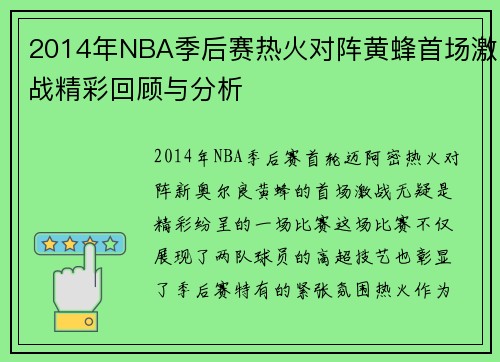 2014年NBA季后赛热火对阵黄蜂首场激战精彩回顾与分析
